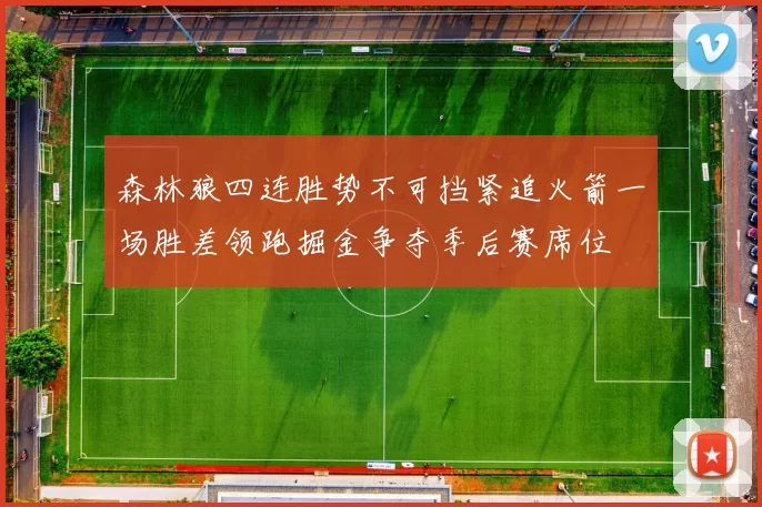 森林狼四连胜势不可挡紧追火箭一场胜差领跑掘金争夺季后赛席位