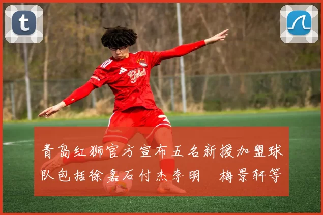 青岛红狮官方宣布五名新援加盟球队包括徐嘉石付杰李明璠梅景轩等球员