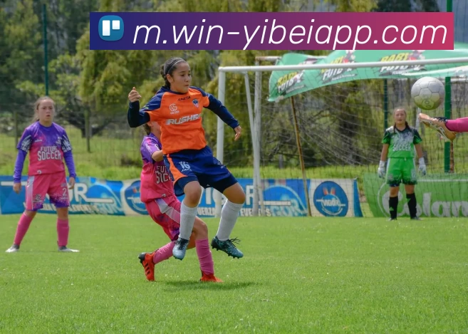 易倍体育平台生态图