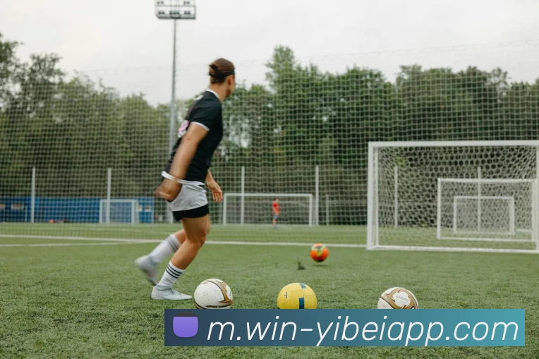 易倍体育全站App